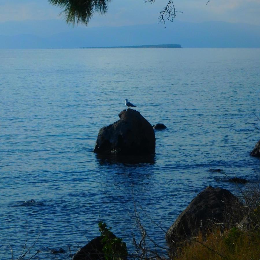 Villa Rodanthos Perdika  Luaran gambar